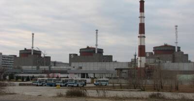Военные ВС РФ заминировали побережье возле Запорожской АЭС, — Энергоатом