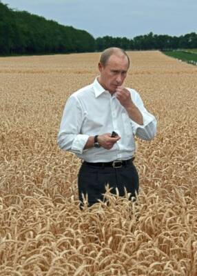 Патрушев: «Продовольственная безопасность России обеспечена»