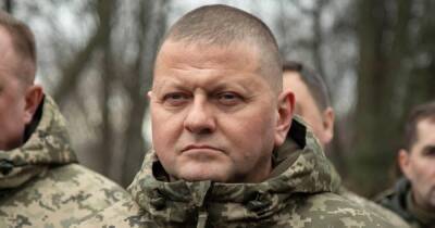Залужный сообщил о полном разгроме российских войск под Броварами (видео)