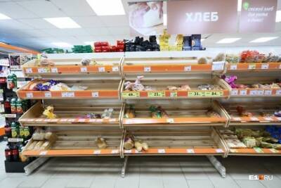 Сможет ли Россия прокормить себя в условиях санкций?