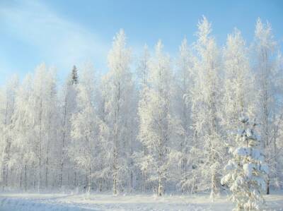 Вильфанд спрогнозировал аномальное похолодание в Сибири