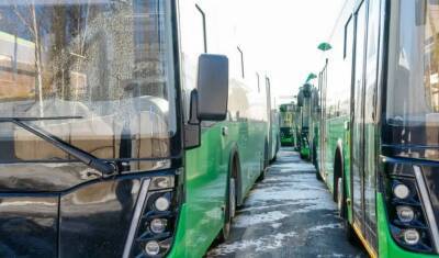 В тюменском автопарке появится 80 новых автобусов