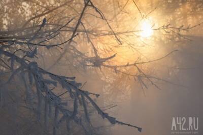 Гидрометцентр предупредил о холодной погоде в ряде регионов РФ