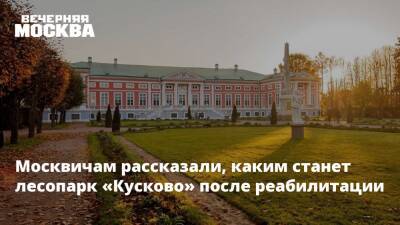 Сергей Мельников - Москвичам рассказали, каким станет лесопарк «Кусково» после реабилитации - vm.ru - Москва - Москва - Благоустройство