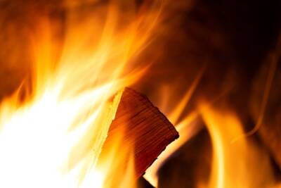 Лесозаготовщик в Воскресенском районе получил фатальные ожоги, упав в костер