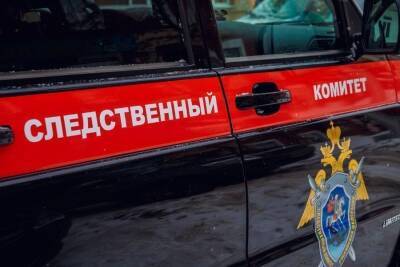 В Новосибирской области 17-летний подросток погиб на лесозаготовках