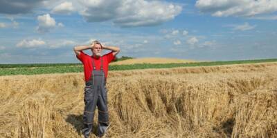 Санкции против России ударили по французским фермерам