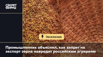 Промышленник объяснил, как запрет на экспорт зерна навредит российским аграриям