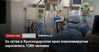 За сутки в Краснодарском крае коронавирусом заразились 1286 человек