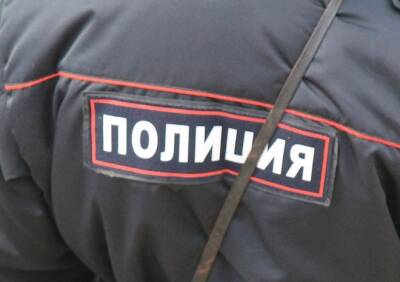 Полицейские задержали рецидивиста, который ограбил жительницу Касимова