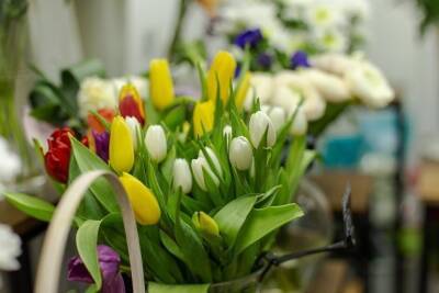 Розы, хризантемы и тюльпаны по низким ценам продадут в «Гринлайне» до 20 марта