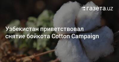 Узбекистан приветствовал снятие бойкота Cotton Campaign
