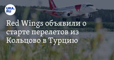 Red Wings объявили о старте перелетов из Кольцово в Турцию