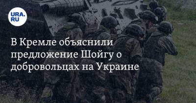 В Кремле объяснили предложение Шойгу о добровольцах на Украине. «Речь не о россиянах»