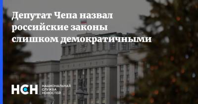 Алексей Чепа - Депутат Чепа назвал российские законы слишком демократичными - nsn.fm