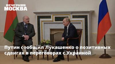 Путин сообщил Лукашенко о позитивных сдвигах в переговорах с Украиной