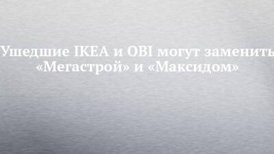Ушедшие IKEA и OBI могут заменить «Мегастрой» и «Максидом»