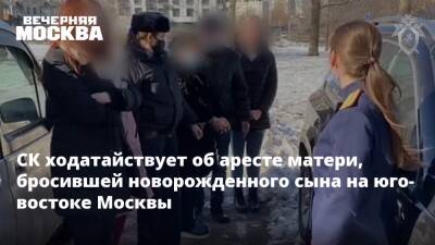 СК ходатайствует об аресте матери, бросившей новорожденного сына на юго-востоке Москвы
