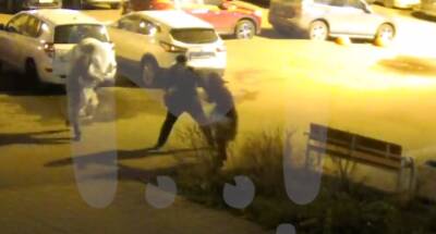 Видео: 7-летнюю девочку выкрали из рук матери посреди улицы в Кудрово
