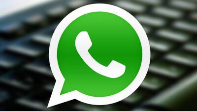 СМИ: Меры против мессенджера WhatsApp в России не планируются