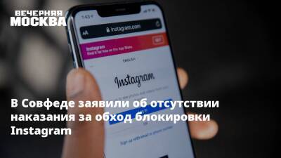 В Совфеде заявили об отсутствии наказания за обход блокировки Instagram