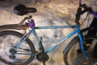 Крутили педали, пока не задержали: в Выборге поймали двоих похитителей велосипедов
