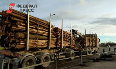Западные страны не будут покупать древесину в Вологодской области