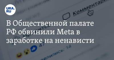 В Общественной палате РФ обвинили Meta в заработке на ненависти