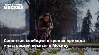 Синоптик сообщил о сроках прихода «настоящей весны» в Москву