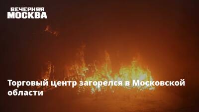 Торговый центр загорелся в Московской области