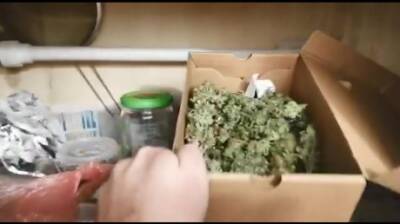 Полицейские нашли в квартире пензенца коробку с марихуаной