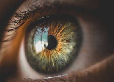 Глаукома: симптомы заболевания, способы его лечения и профилактика