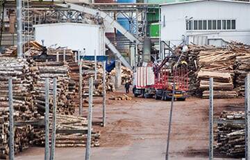 Пеллетные заводы в Беларуси ожидает закрытие