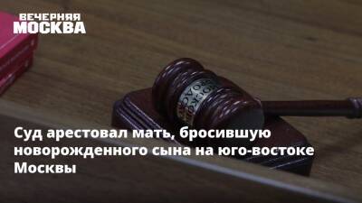 Суд арестовал мать, бросившую новорожденного сына на юго-востоке Москвы