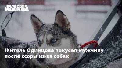 Житель Одинцова покусал мужчину после ссоры из-за собак