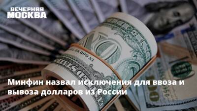 Минфин назвал исключения для ввоза и вывоза долларов из России