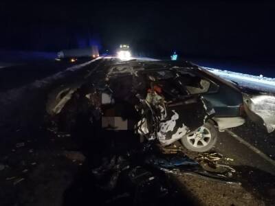 В Новосибирской области водитель ВАЗ погиб после ДТП с грузовиком DAF