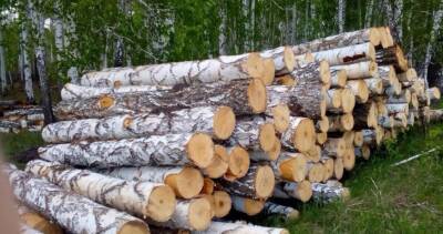 Поставки важного древесного сырья в Европу из России приостановлены