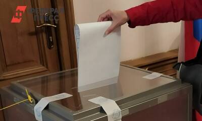 Российские наблюдатели следят за ходом выборов в Абхазии