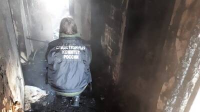 Из-за взрыва газа в воронежской хрущевке погибло два человека - Русская семерка