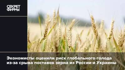 Экономисты оценили риск глобального голода из-за срыва поставок зерна из России и Украины