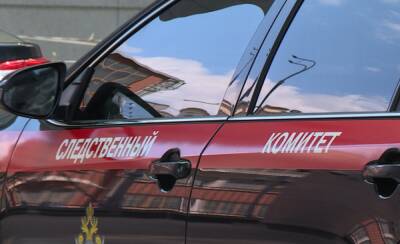 Следком начал проверку по факту гибели сожителей на пожаре в Рыбновском районе