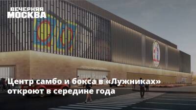 Андрей Бочкарев - Центр самбо и бокса в «Лужниках» откроют в середине года - vm.ru - Москва - Строительство