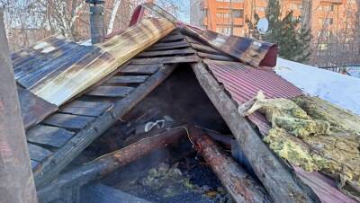 В Новосибирске 64-летний мужчина и собака погибли при пожаре в частном доме