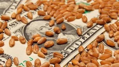 Bloomberg сообщило, на сколько вырастут цены на продовольствие