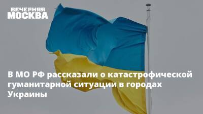 В МО РФ рассказали о катастрофической гуманитарной ситуации в городах Украины