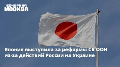 Япония выступила за реформы СБ ООН из-за действий России на Украине