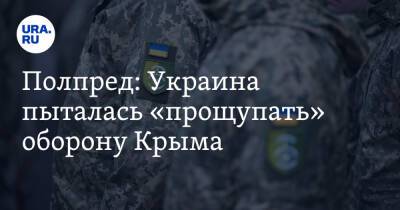 Полпред: Украина пыталась «прощупать» оборону Крыма