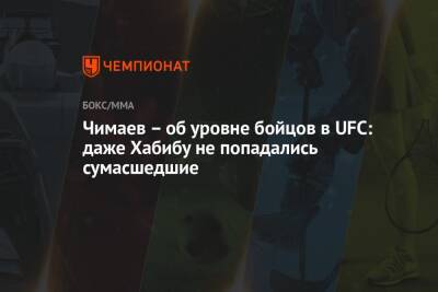 Чимаев – об уровне бойцов в UFC: даже Хабибу не попадались сумасшедшие