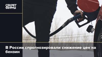 Павел Сигал - В России спрогнозировали снижение цен на бензин - secretmag.ru - Россия